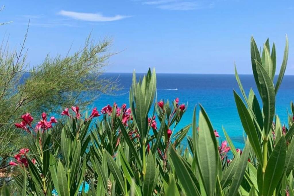 Boutique Apartment With Beach Within Walking Distance, Near Tropea パルゲリーア エクステリア 写真